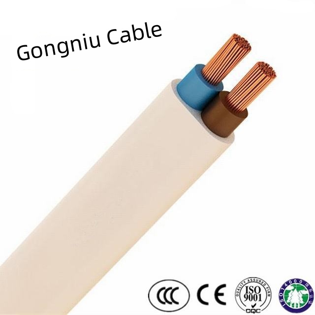 Pvc Sheathed Insulated Solid Flat Wire